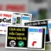 CapCut PC Không Có Mẫu Lỗi Tại Đâu Cách Sửa Đúng Cách
