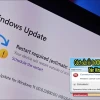 Sửa lỗi 11b Windows Lỗi In Mạng Gây Khó Chịu 2026
