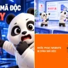 Sửa lỗi mã độc công ty an nhiên: Lật tẩy chiêu trò và giải pháp