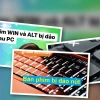 Sửa lỗi phím Win và Alt bị đảo: Lầm tưởng tai hại và giải pháp cứu cánh!