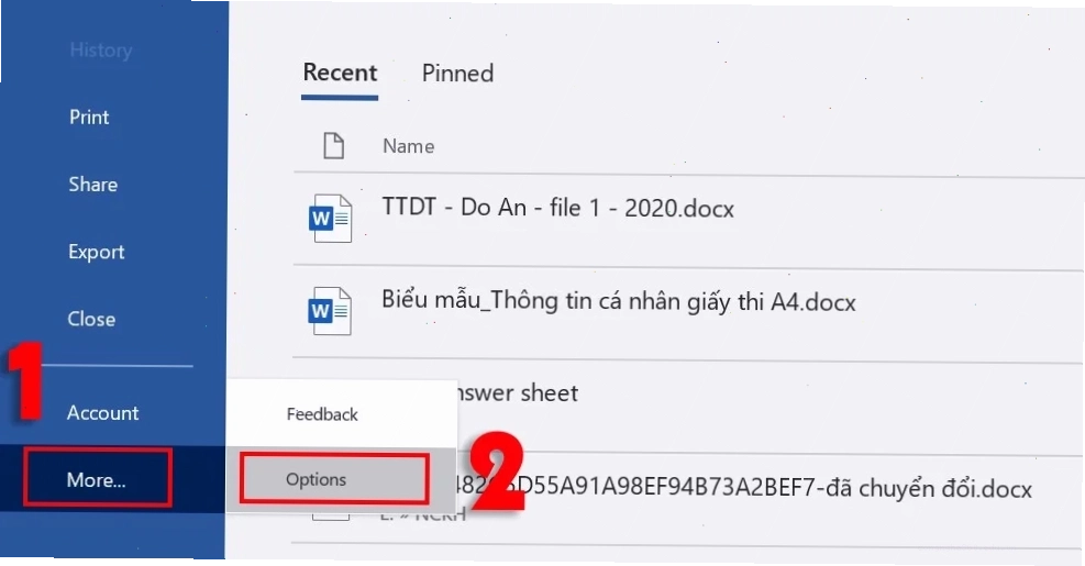 Chọn More Options để tắt tự sửa lỗi chính tả
