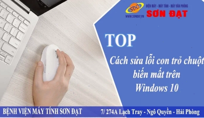 Cửa sổ thuộc tính chuột trong Control Panel