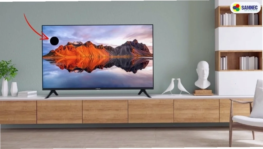 Điểm chết trên màn hình tivi Sony