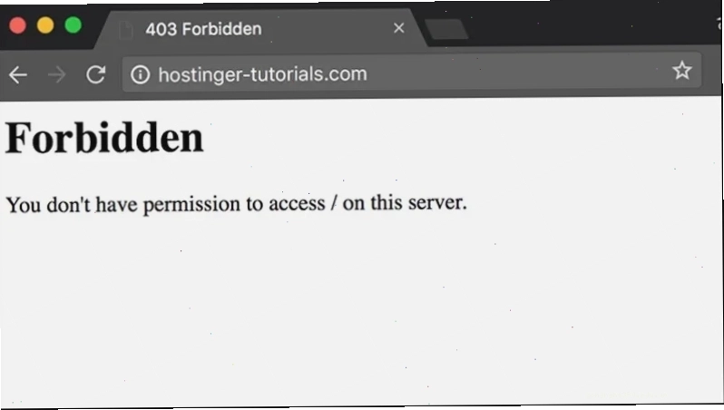 Giao diện dòng lệnh hiển thị lỗi 403 Forbidden