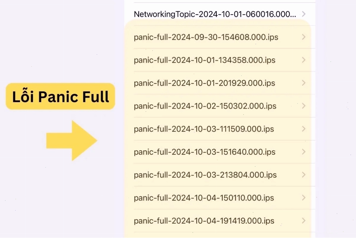 Kiểm tra file log lỗi Panic Full trên iPhone