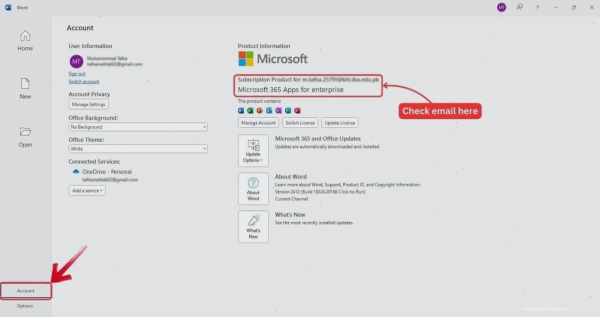 Thông tin tài khoản Microsoft Word