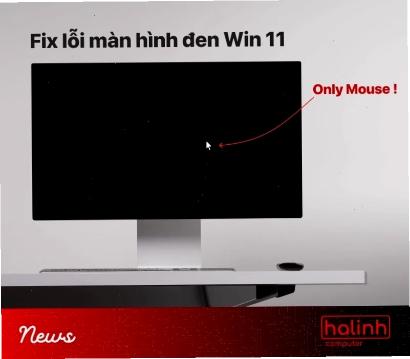 Tìm chuyên gia sửa lỗi màn hình đen chỉ có chuột Win 11