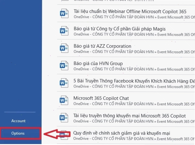 Tùy chọn Options trong Word