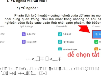 Cách sửa file PDF không bị lỗi font: Bí mật ít người biết