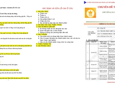 Chỉ ra và sửa lỗi sai trong mỗi câu sau: Ngữ pháp Việt đầy rẫy cạm bẫy?