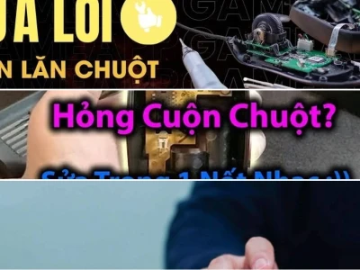 Cứu Nguy Con Lăn Chuột: Lỗi Thường Gặp Và Cách Sửa Tức Thì
