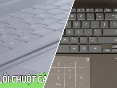 Khắc Phục Tức Thì Lỗi Chuột Cảm Ứng Laptop Không Hoạt Động