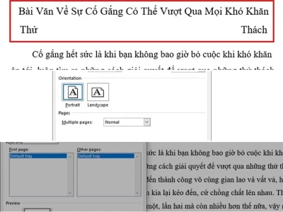 Lỗi không chỉnh sửa được căn lề trong Word và cách 'xử' chúng