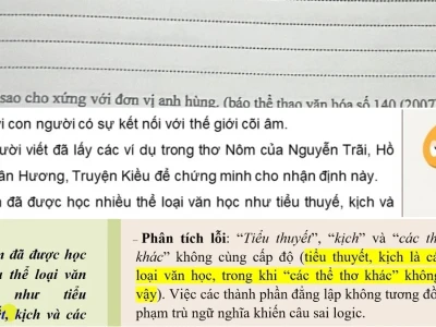 Phân Tích Lỗi Logic Trong Câu Văn Và Cách Sửa Chữa Hiệu Quả