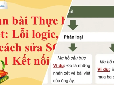 Soạn Lỗi Logic Câu Mơ Hồ Và Cách Sửa Kết Nối Đỉnh Cao