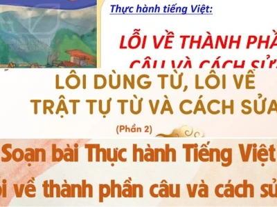 Sửa Lỗi Câu Tiếng Việt Thực Hành Bạn Cần Biết Ngay