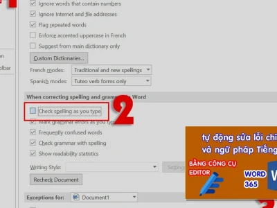 Sửa lỗi ngữ pháp Tiếng Anh trong Word: Sự thật trái chiều bạn chưa biết