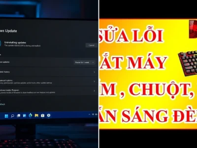 Sửa lỗi Windows 11 tắt máy đèn bàn phím chuột vẫn sáng: Ai chịu trách nhiệm?