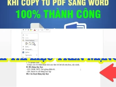 Sửa lỗi xuống dòng khi copy PDF sang Word: Bí kíp cứu cánh tài liệu
