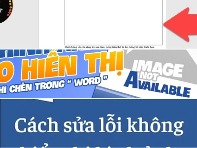 Word 2016 Không Hiển Thị Ảnh? 5 Cách Sửa Lỗi Độc Đáo Bạn Cần Biết