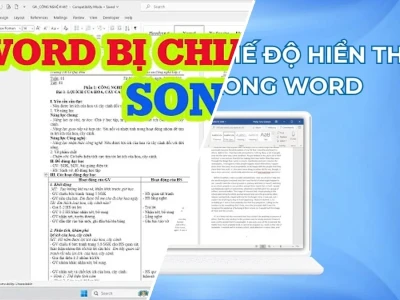Word Bị Chia 2 Trang Song Song: Lỗi Kinh Hoàng Hay Chiêu Trò Của Microsoft?